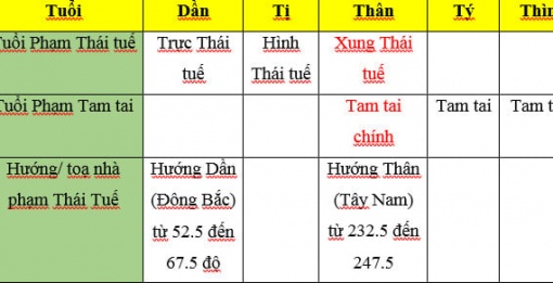 CÁC TUỔI PHẠM THÁI TUẾ VÀ TAM TAI NĂM NHÂM DẦN 2022